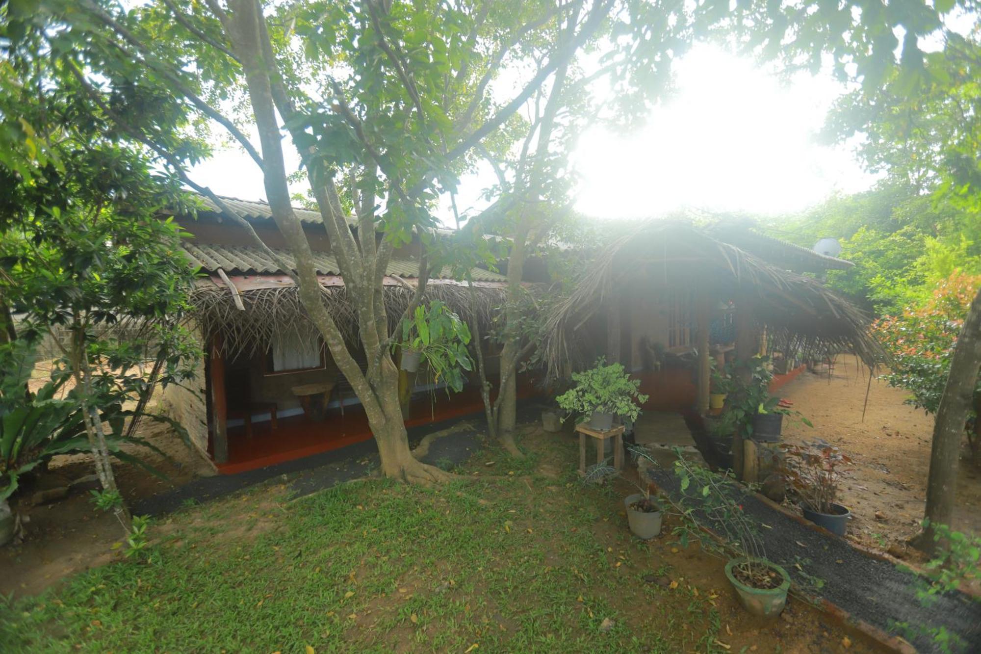 Dinna Nature Hostel Sigiriya Exterior photo